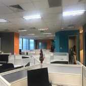 Exterior painting services